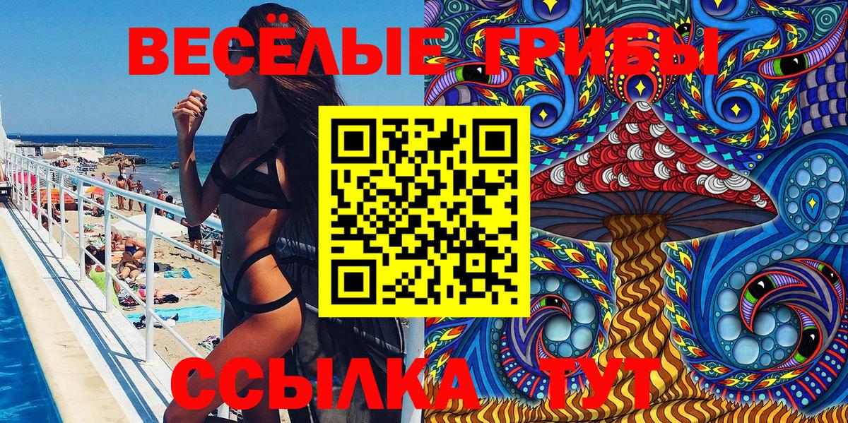 Псилоцибиновые грибы Cubensis Красный Сулин