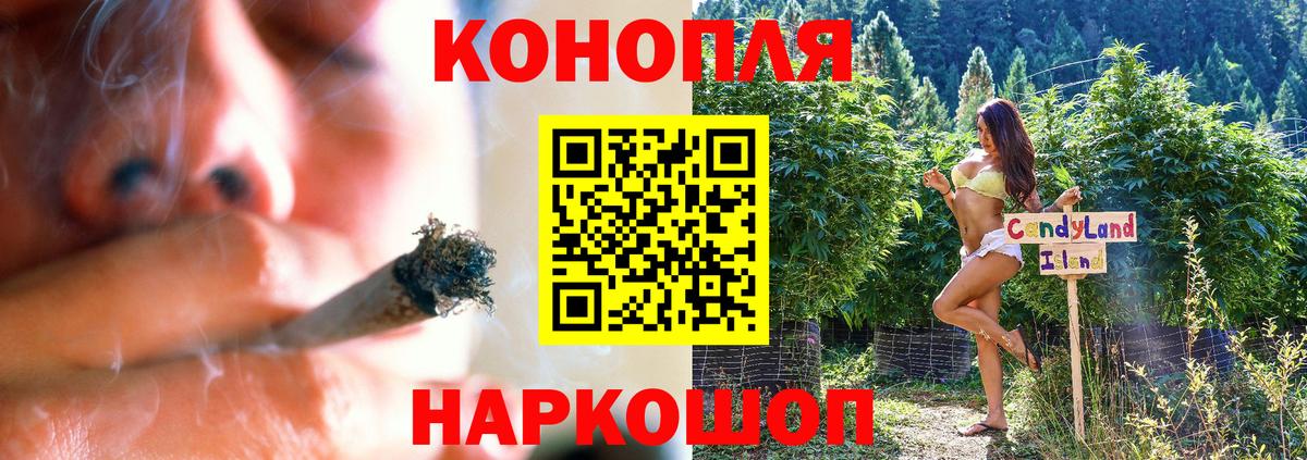 Шишки марихуана планчик Красный Сулин